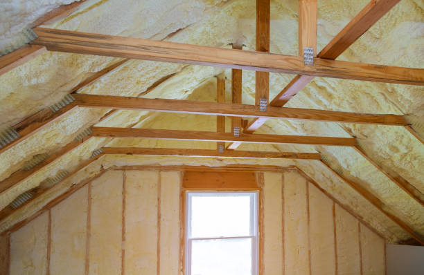 Best Energy-efficient Insulation  in Forest View, IL