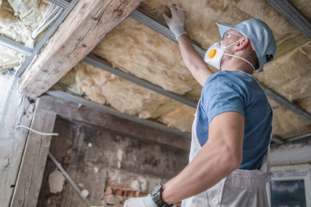 Insulation Replacement Services in Forest View, IL