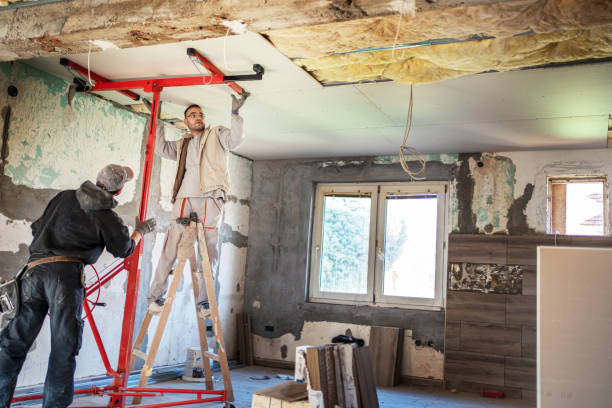 Best Insulation Removal  in Forest View, IL