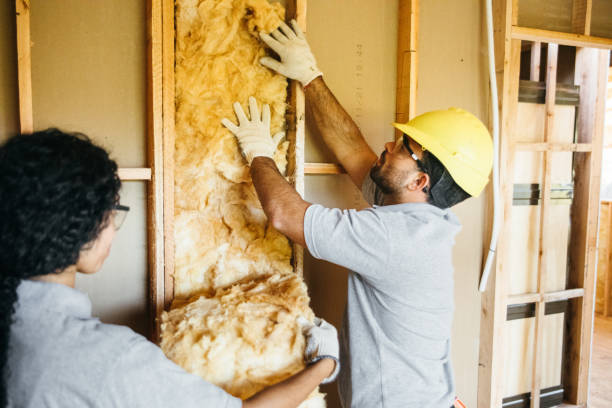 Best Attic Insulation Installation  in Forest View, IL