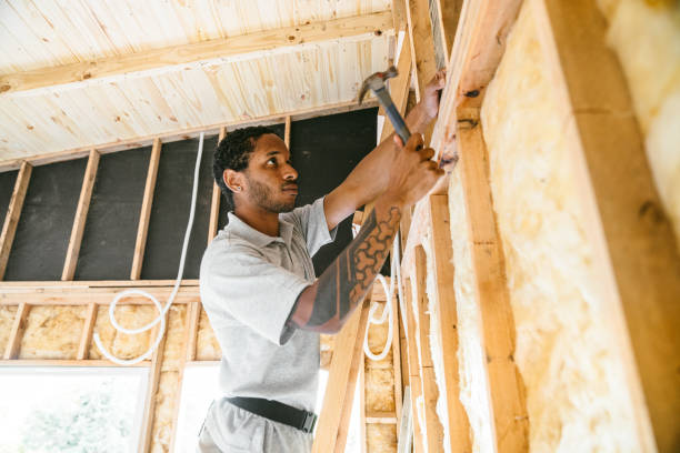 Best Insulation Inspection Services  in Forest View, IL