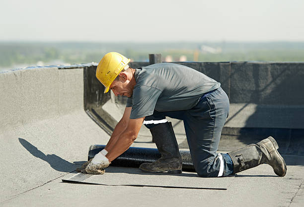 Best Garage Insulation Installation  in Forest View, IL