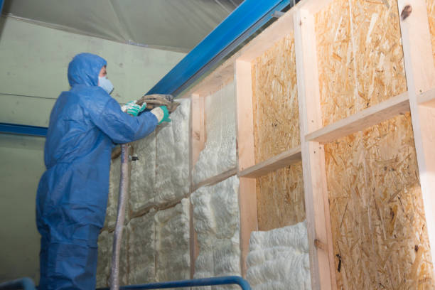 Insulation Repair Services in Forest View, IL